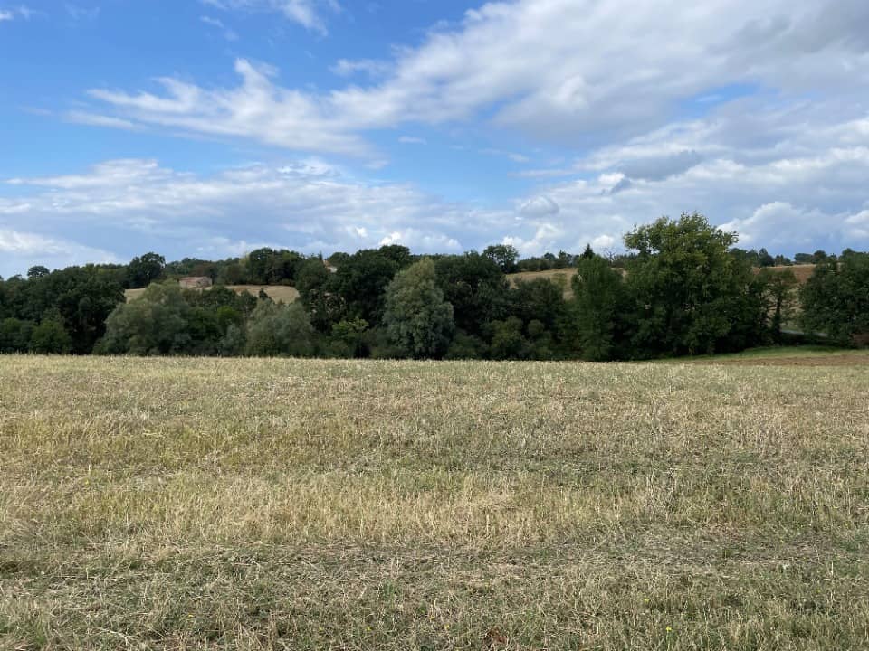 Terrain - Terrain à bâtir  () à Montfa (81), prix 65 000 €