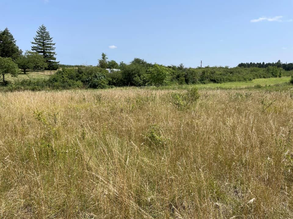 Terrain - Terrain à bâtir  () à Valdurenque (81), prix 70 000 €