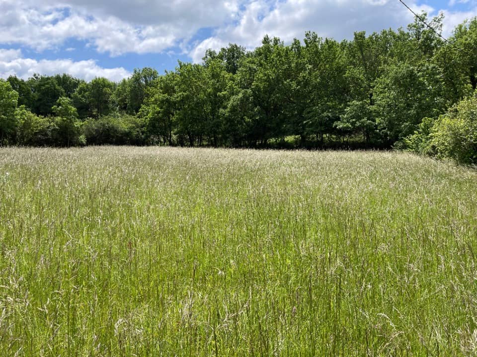 Terrain - Terrain à bâtir () à Castres, prix 65 000 €