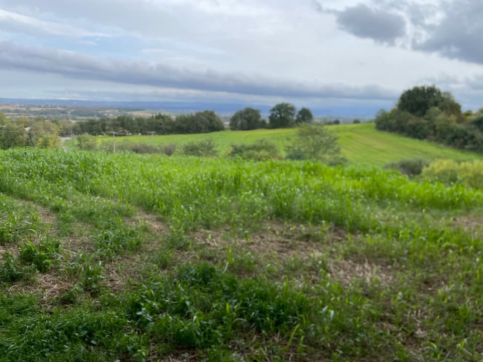 Terrain - Terrain à bâtir Saint-Affrique-les-Montagnes (81290) à Saint-Affrique-les-Montagnes (81), prix 50 000 €