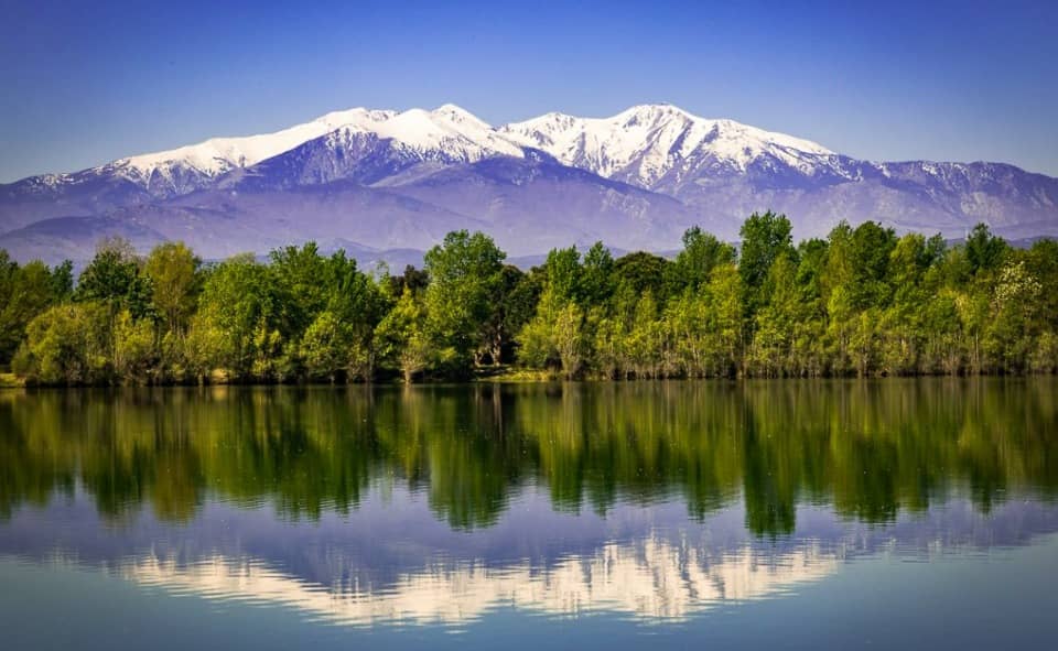 Terrain - Terrain à bâtir () à Vinça, prix 98 900 €