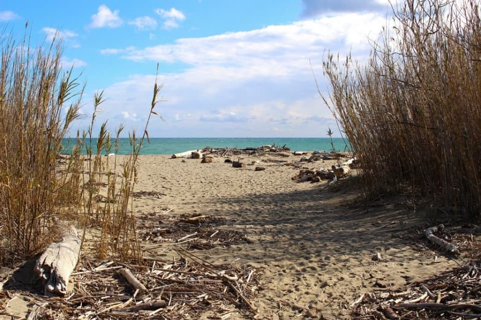 Terrain - Terrain à bâtir  () à Elne (66), prix 191 000 €