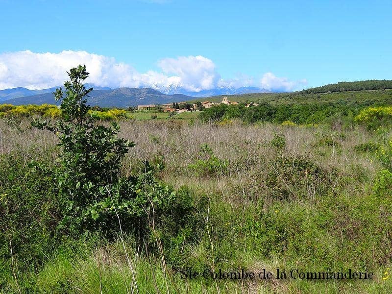 Terrain - Terrain à bâtir  () à Thuir (66), prix 122 000 €