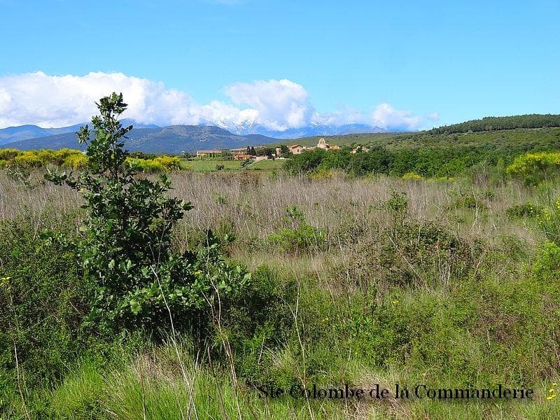 Terrain - Terrain à bâtir () à Thuir (66), prix 122 000 €
