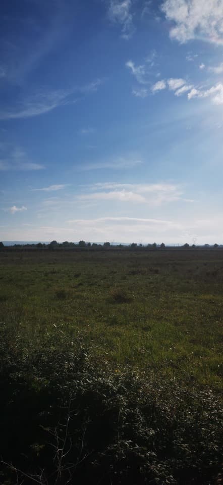 Terrain - Terrain à bâtir Rieux-Minervois (11160) à Rieux-Minervois (11), prix 67 900 €