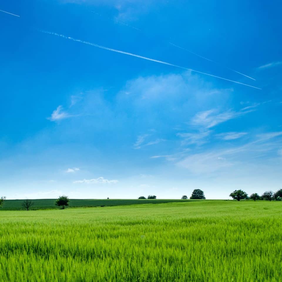 Terrain - Terrain à bâtir Pussay (91740) à Pussay (91), prix 79 000 €