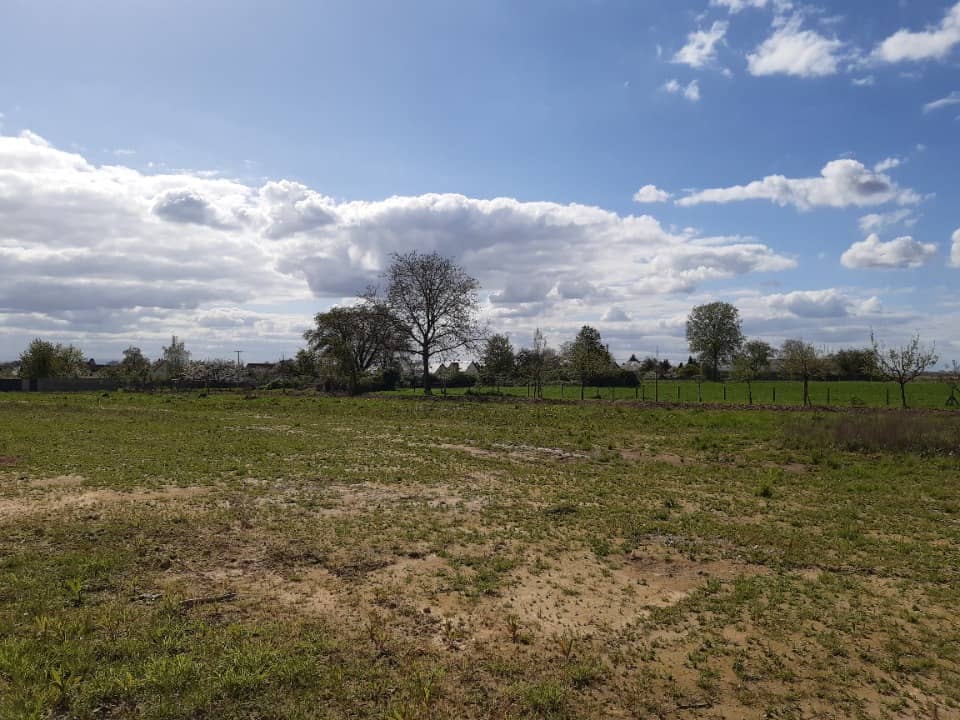 Terrain - Terrain à bâtir Weitbruch (67500) à Weitbruch, prix 125 829 €