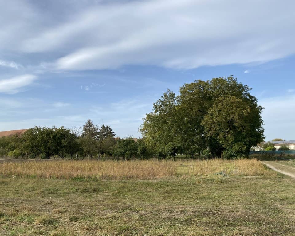 Terrain - Terrain à bâtir () à Osthouse (67), prix 141 600 €