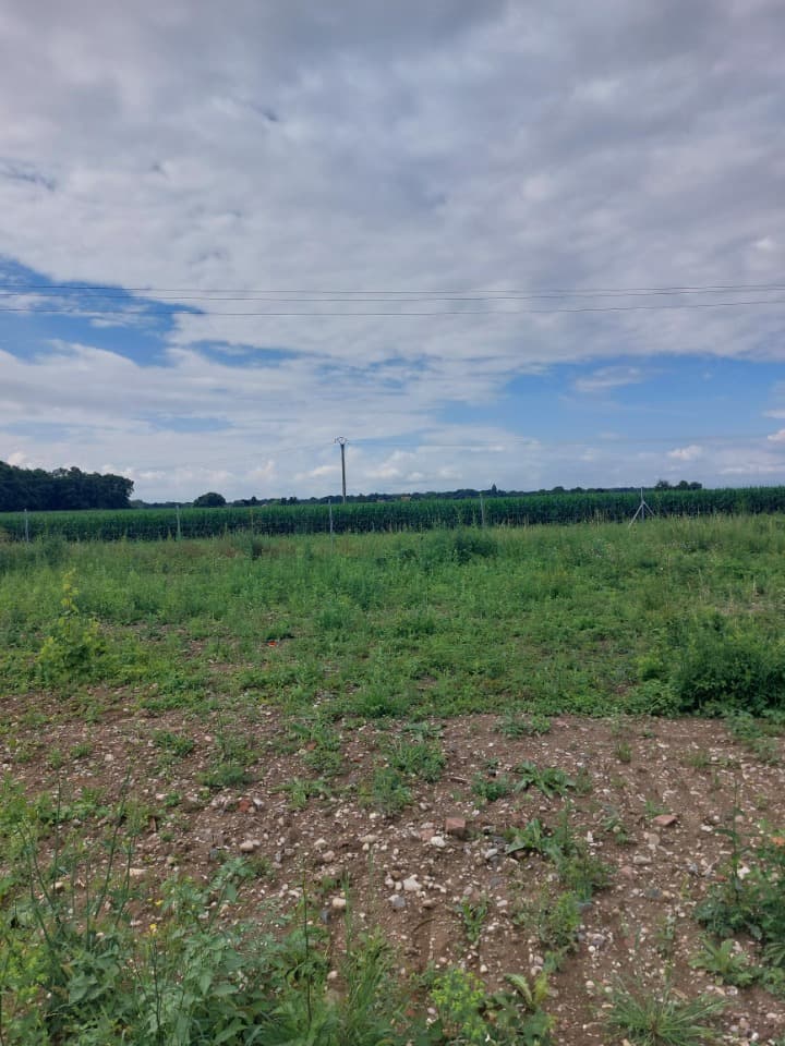 Terrain - Terrain à bâtir Marckolsheim (67390) à Marckolsheim (67), prix 99 590 €