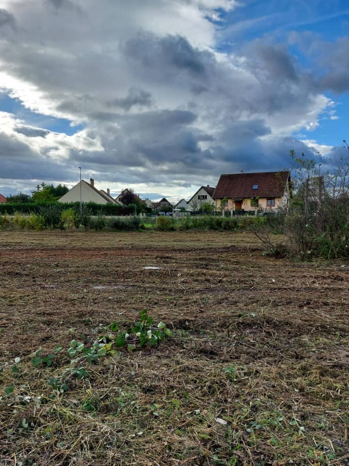 Terrain - Terrain à bâtir Barr (67140) à Barr, prix 130 000 €