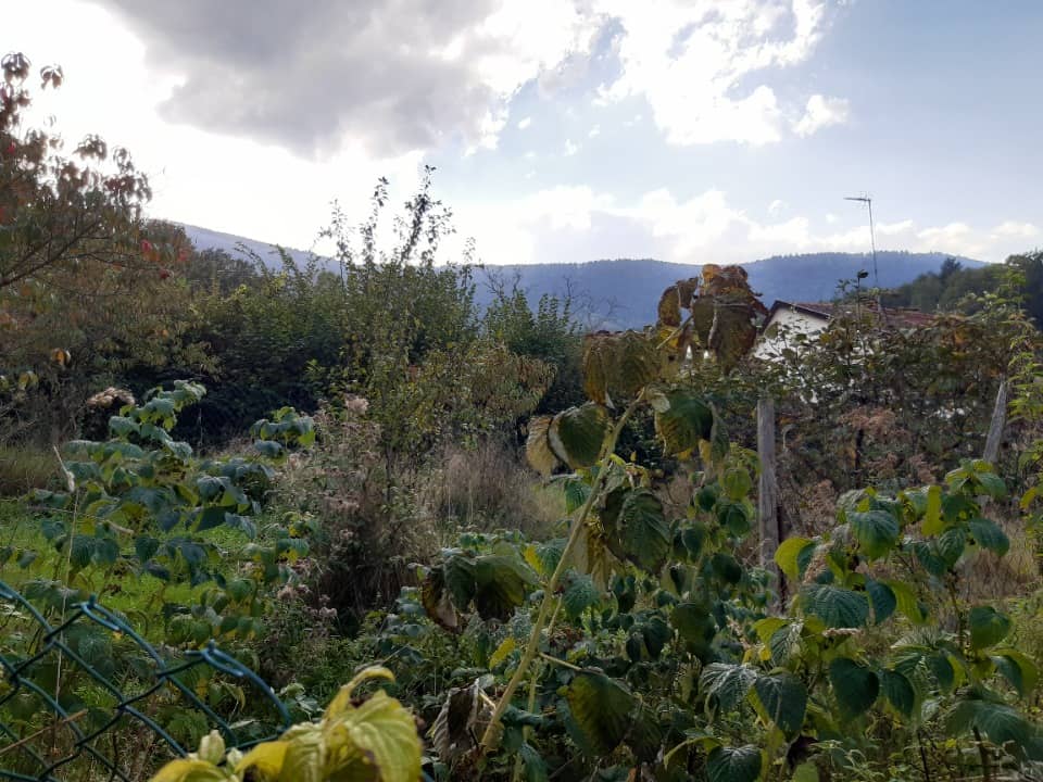 Terrain - Terrain à bâtir Villé (67220) à Villé, prix 78 400 €