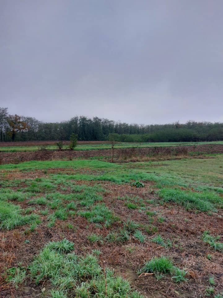 Terrain - Terrain à bâtir  () à Niederhergheim (68), prix 120 000 €