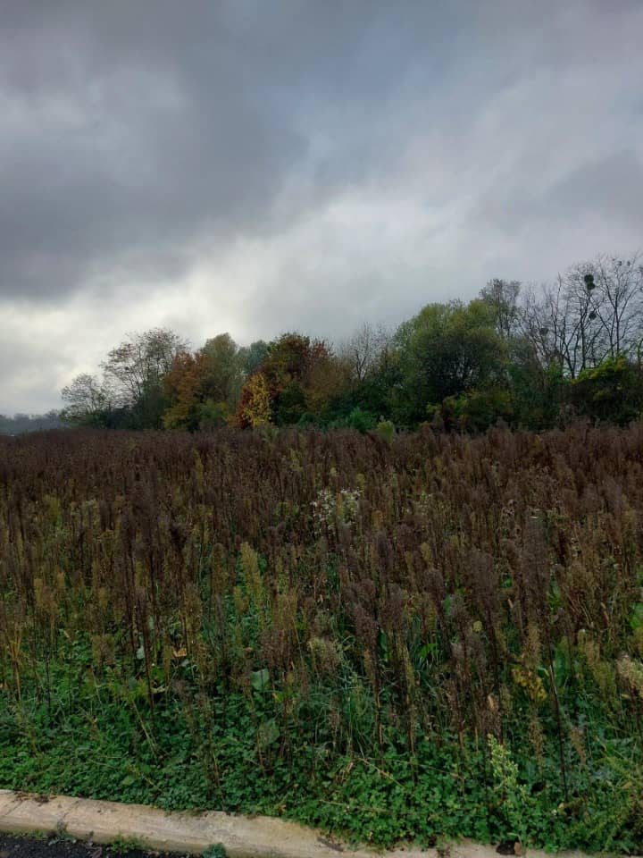 Terrain - Terrain à bâtir () à Widensolen, prix 95 880 €