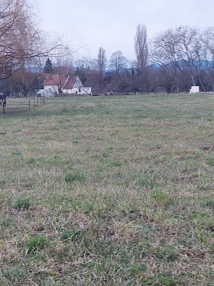 Terrain - Terrain à bâtir () à Jebsheim (68), prix 144 000 €