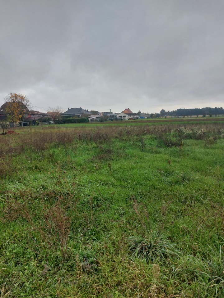 Terrain - Terrain à bâtir () à Wolfgantzen (68), prix 94 240 €