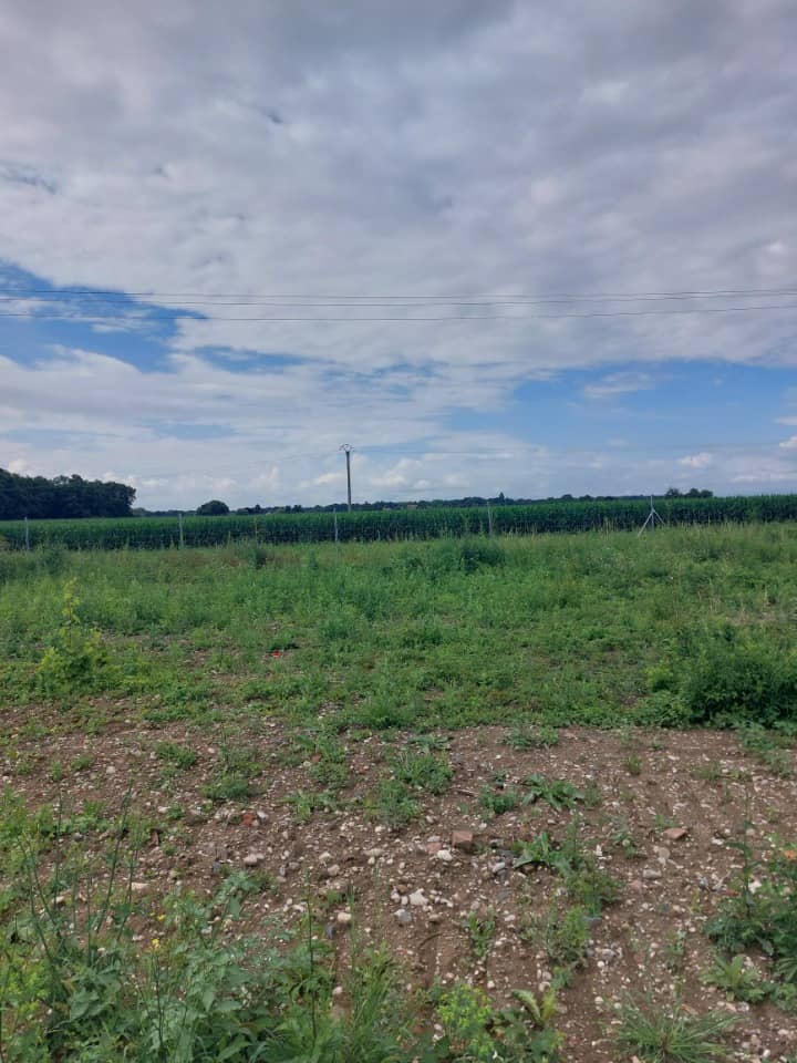 Terrain - Terrain à bâtir  () à Marckolsheim (67), prix 90 620 €