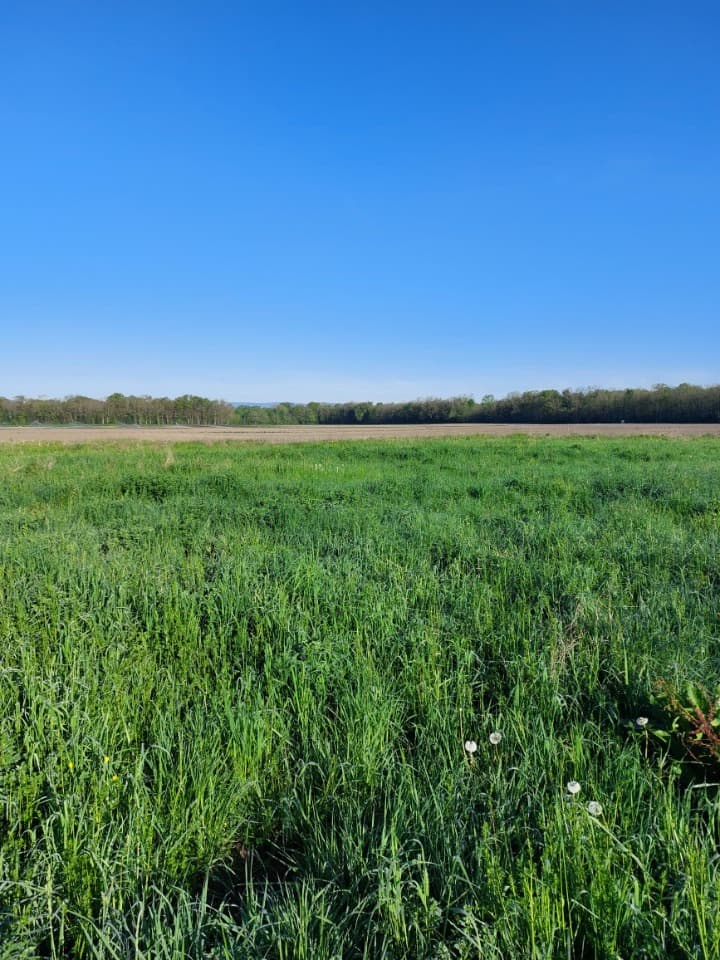 Terrain - Terrain à bâtir () à Bindernheim (67), prix 98 430 €