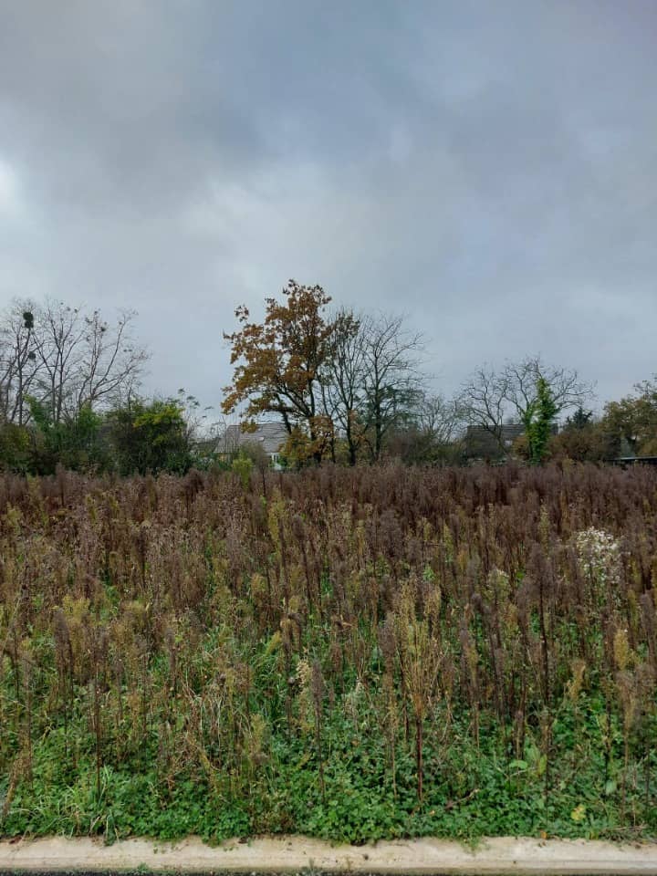 Terrain - Terrain à bâtir Widensolen (68320) à Widensolen, prix 112 320 €