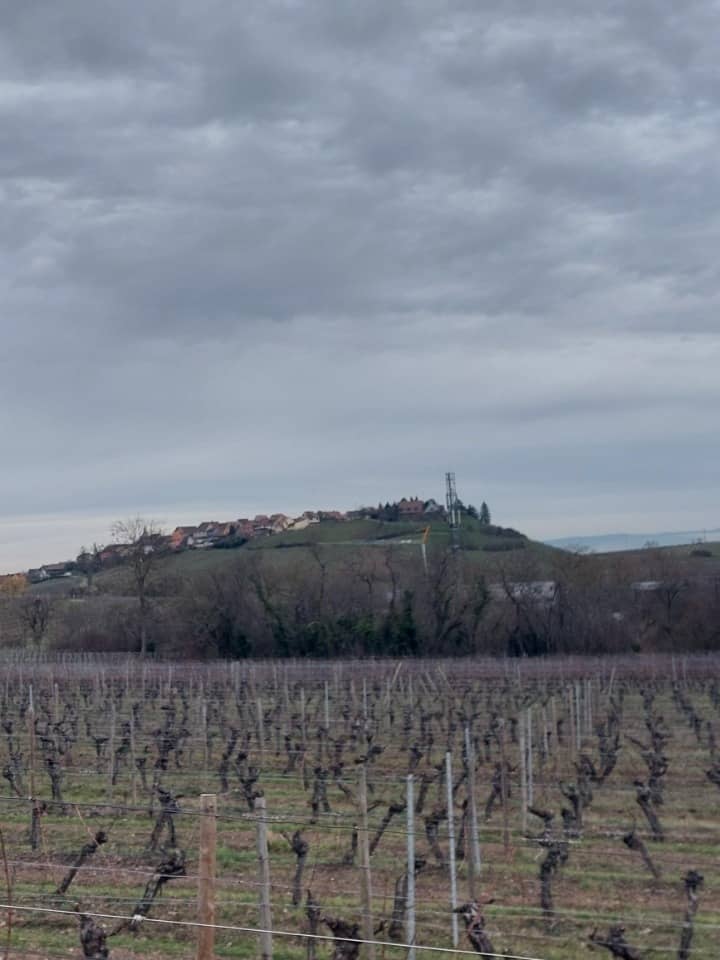 Terrain - Terrain à bâtir Riquewihr (68340) à Riquewihr (68), prix 126 280 €