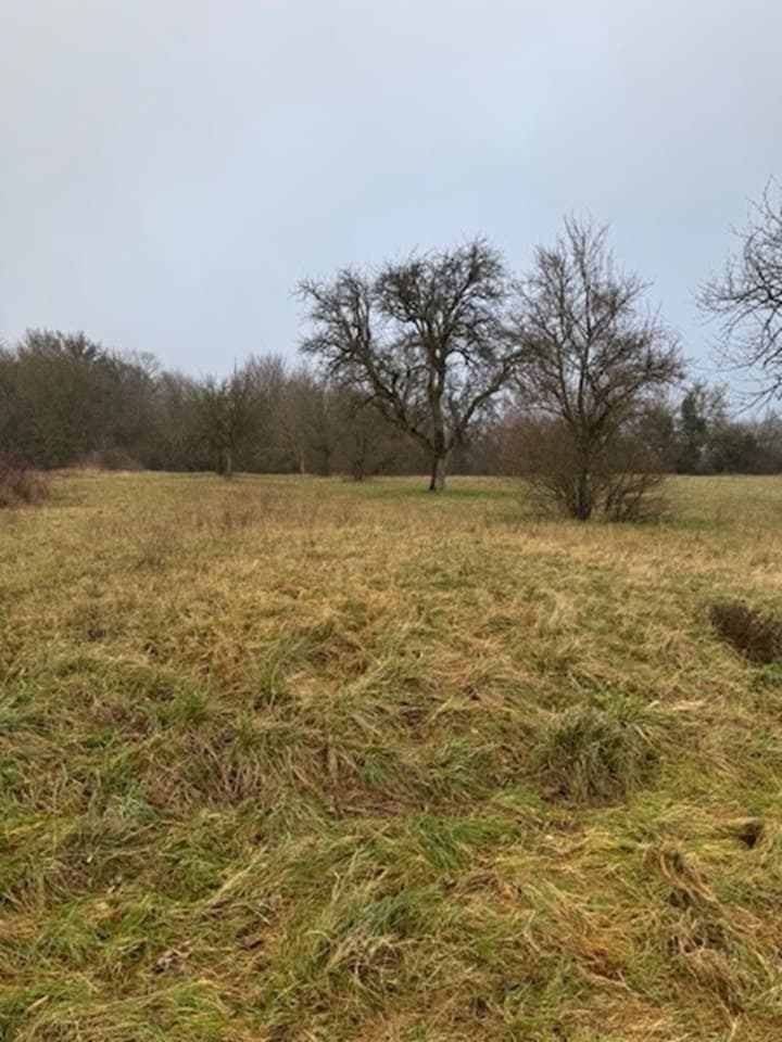 Terrain - Terrain à bâtir Saverne (67700) à Saverne (67), prix 100 900 €