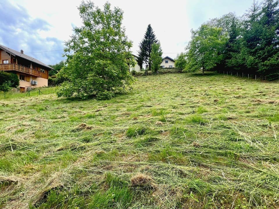 Terrain - Terrain à bâtir Neuviller-la-Roche (67130) à Neuviller-la-Roche (67), prix 47 000 €