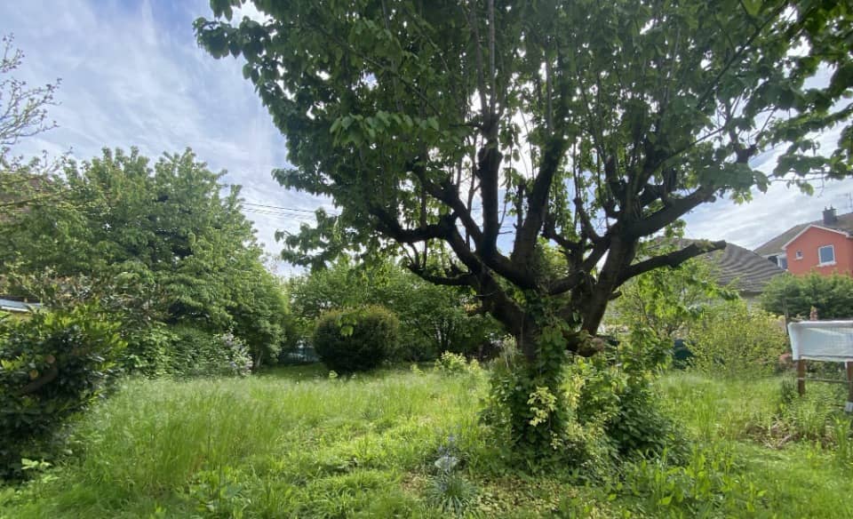 Terrain - Terrain à bâtir Mundolsheim (67450) à Mundolsheim, prix 209 000 €