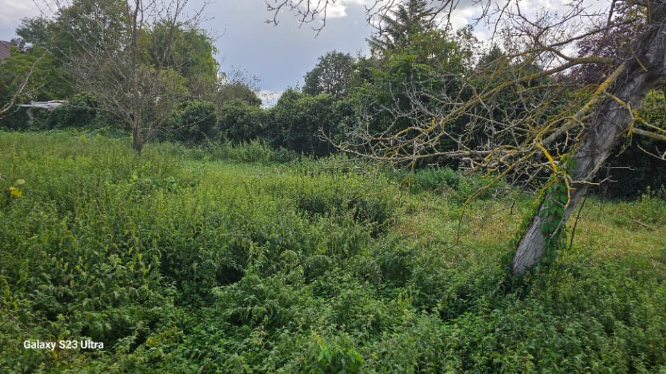 Terrain - Terrain à bâtir Oberhausbergen (67205) à Oberhausbergen (67), prix 600 000 €