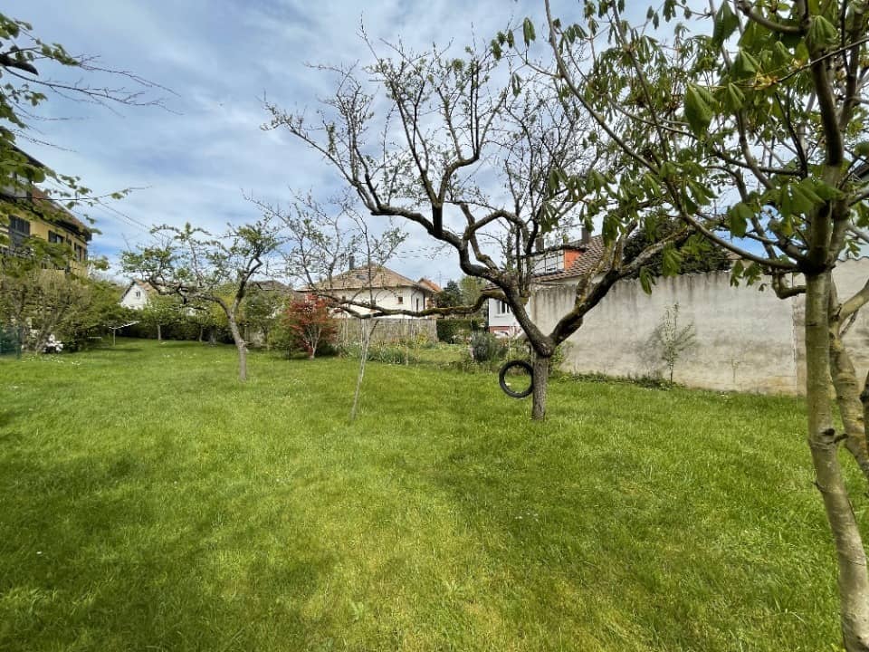 Terrain - Terrain à bâtir Hangenbieten (67980) à Hangenbieten, prix 124 900 €