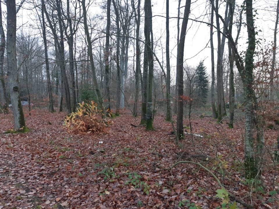 Maison neuve - Terrain à bâtir Conches-en-Ouche (27190) à Conches-en-Ouche, prix 209 500 €