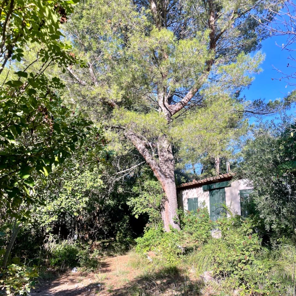 Terrain - Terrain à bâtir Auriol (13390) à Auriol (13), prix 270 000 €