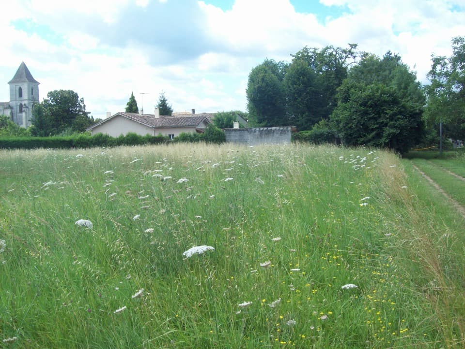 Terrain - Terrain à bâtir Cubzac-les-Ponts (33240) à Cubzac-les-Ponts (33), prix 135 000 €