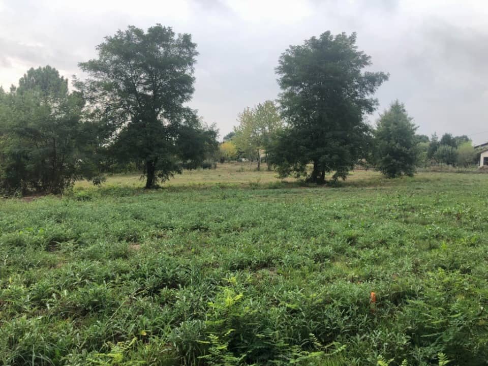 Terrain - Terrain à bâtir Saint-Martin-du-Bois (33910) à Saint-Martin-du-Bois (33), prix 59 000 €