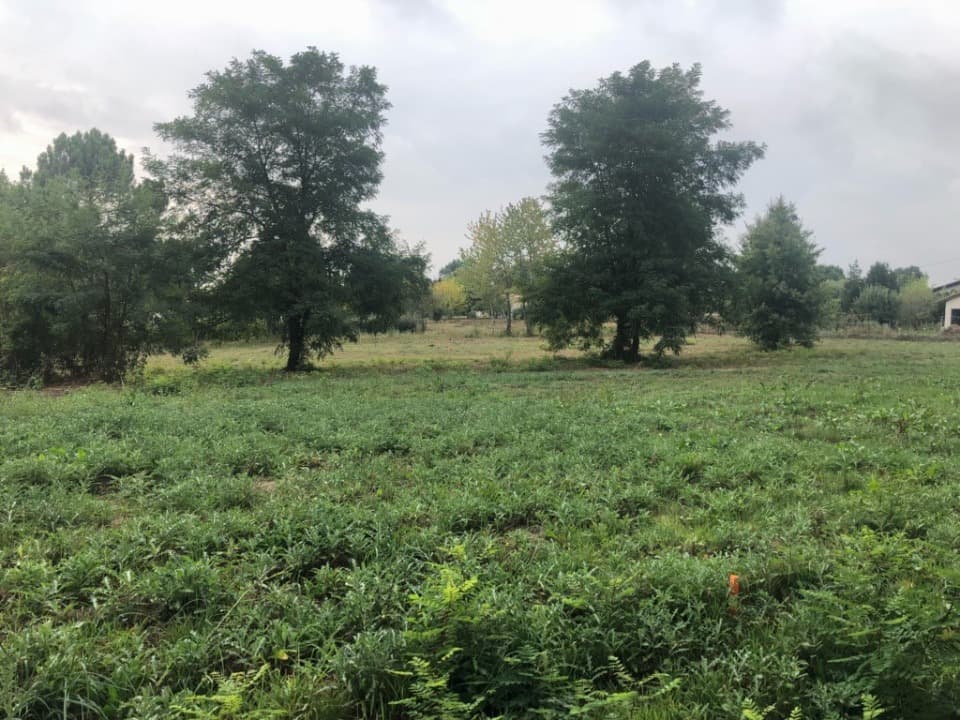 Terrain - Terrain à bâtir Saint-Martin-du-Bois (33910) à Saint-Martin-du-Bois (33), prix 59 000 €