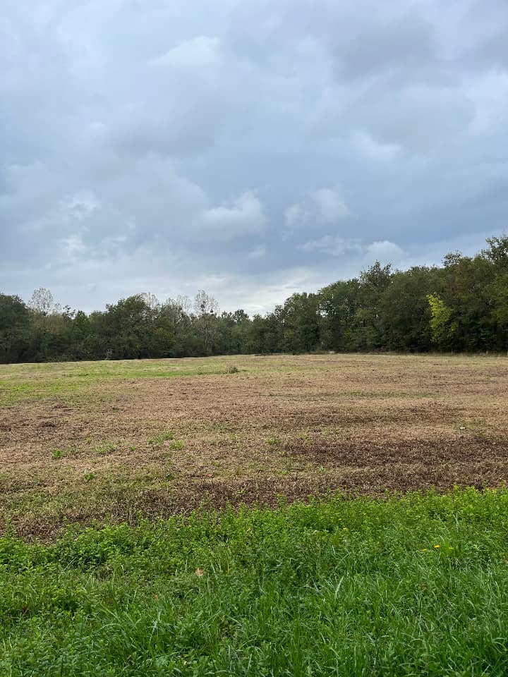 Terrain - Terrain à bâtir Saint-Yzan-de-Soudiac (33920) à Saint-Yzan-de-Soudiac (33), prix 55 000 €