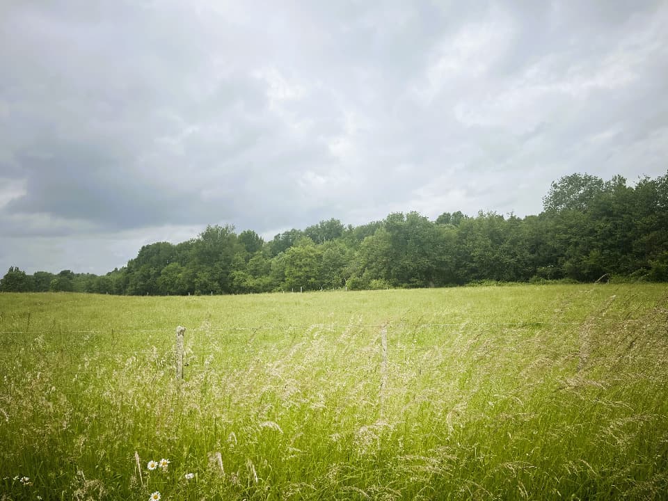 Terrain - Terrain à bâtir Marcenais (33620) à Marcenais (33), prix 65 000 €
