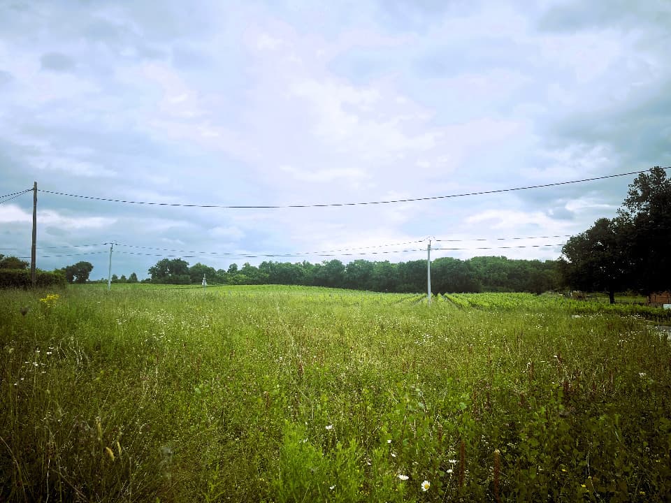 Terrain - Terrain à bâtir Saint-Martin-du-Bois (33910) à Saint-Martin-du-Bois (33), prix 70 000 €