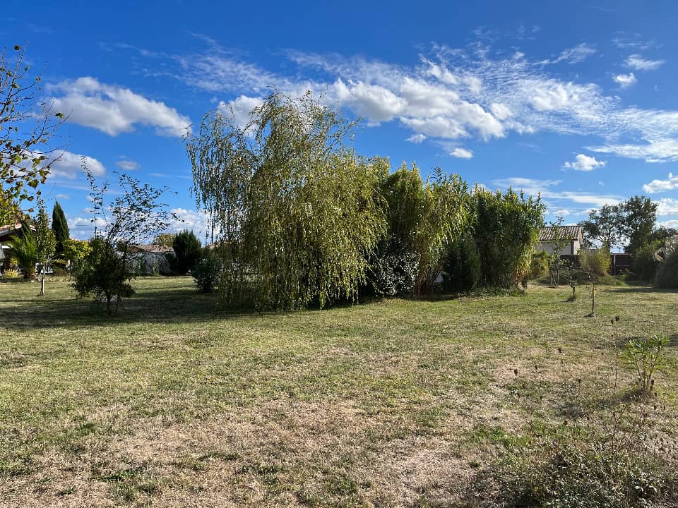 Terrain - Terrain à bâtir Villegouge (33141) à Villegouge, prix 62 000 €
