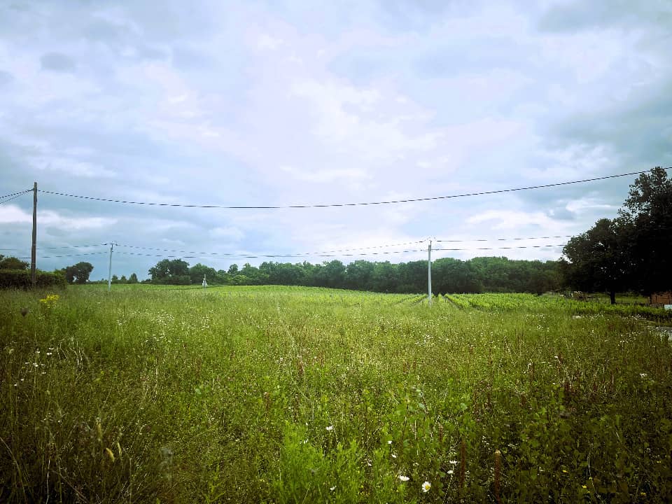 Terrain - Terrain à bâtir Bourg (33710) à Bourg (33), prix 60 000 €