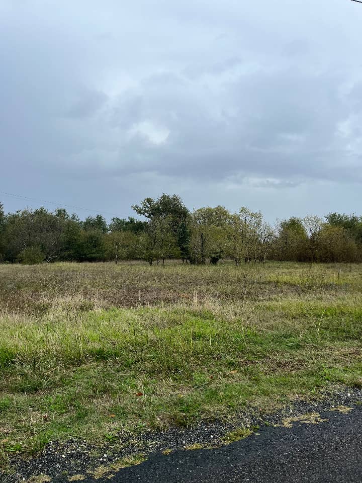 Terrain - Terrain à bâtir Bourg (33710) à Bourg, prix 82 000 €