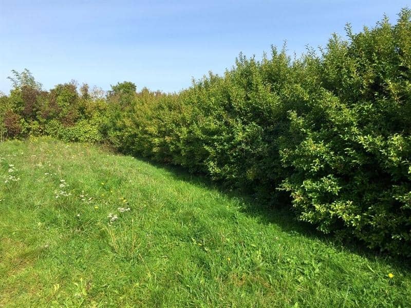 Terrain - Terrain à bâtir () à Limetz-Villez, prix 97 000 €