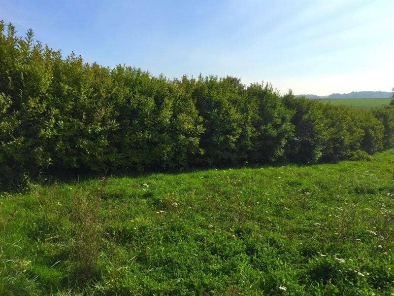 Terrain - Terrain à bâtir Luzarches (95270) à Luzarches (95), prix 175 000 €