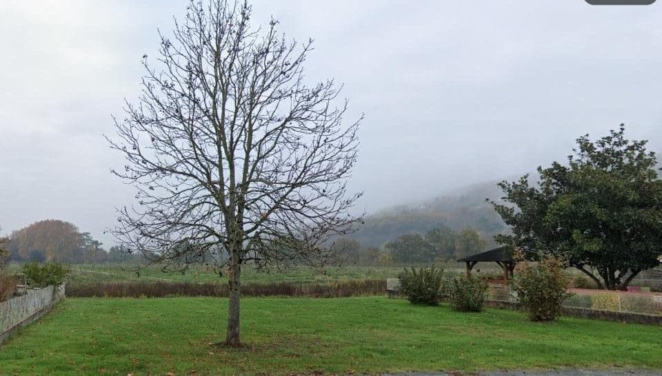 Terrain - Terrain à bâtir Saint-Sylvestre-sur-Lot (47140) à Saint-Sylvestre-sur-Lot (47), prix 35 000 €
