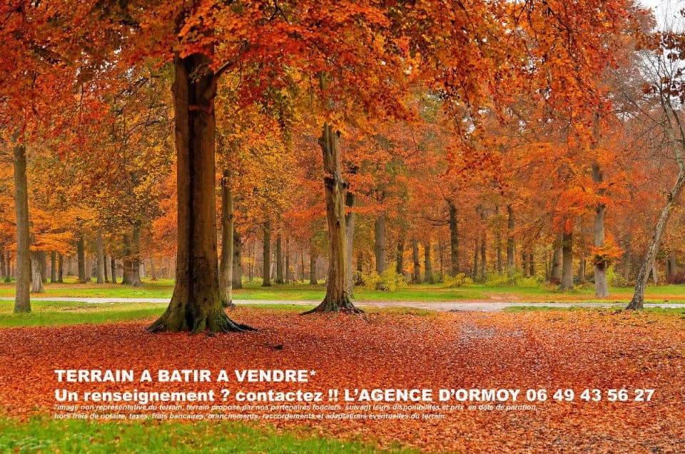 Terrain - Terrain à bâtir Oncy-sur-École (91490) à Oncy-sur-École (91), prix 120 000 €
