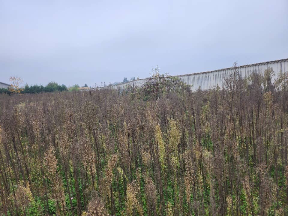 Terrain - Terrain à bâtir  () à Taponas (69), prix 100 000 €