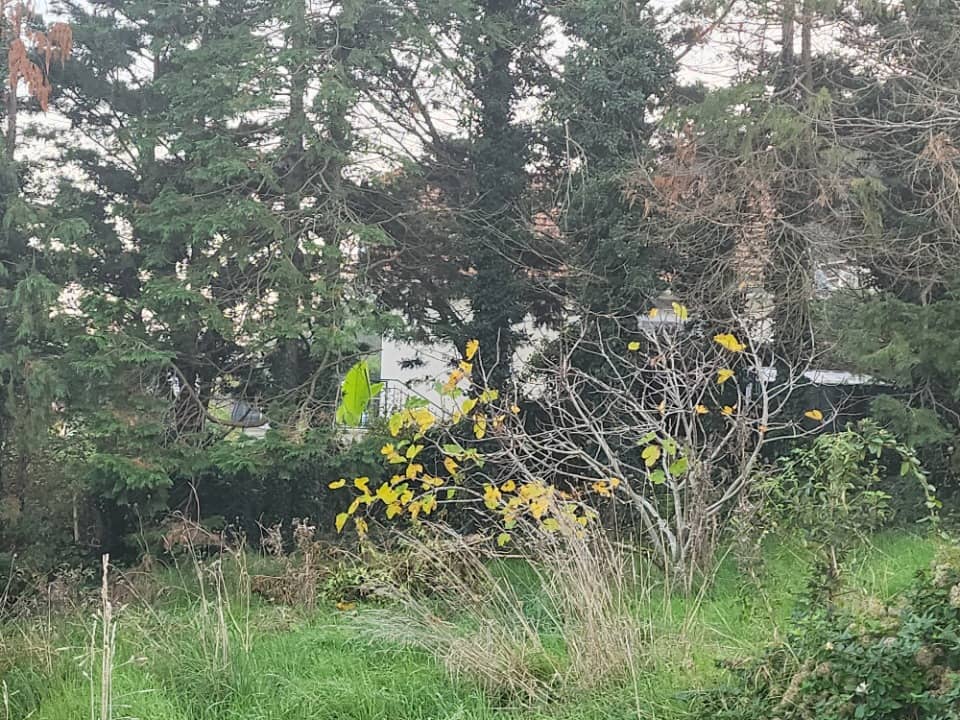 Terrain - Terrain à bâtir  () à Givors (69), prix 100 000 €