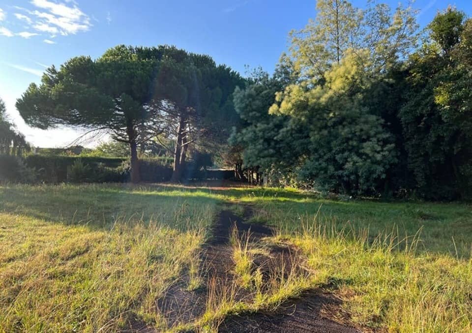 Terrain - Terrain à bâtir Dolus-d'Oléron (17550) à Dolus-d'Oléron, prix 169 494 €