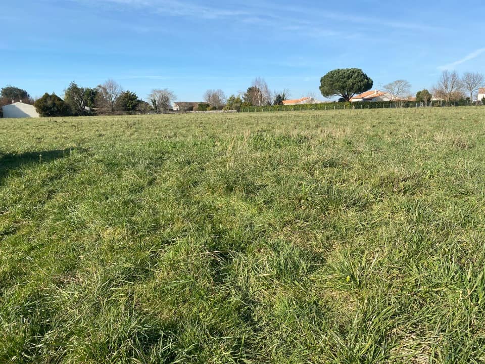 Terrain - Terrain à bâtir Corme-Royal (17600) à Corme-Royal (17), prix 43 740 €