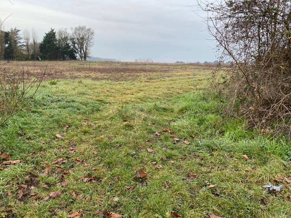 Terrain - Terrain à bâtir Saint-Hippolyte (17430) à Saint-Hippolyte (17), prix 49 000 €