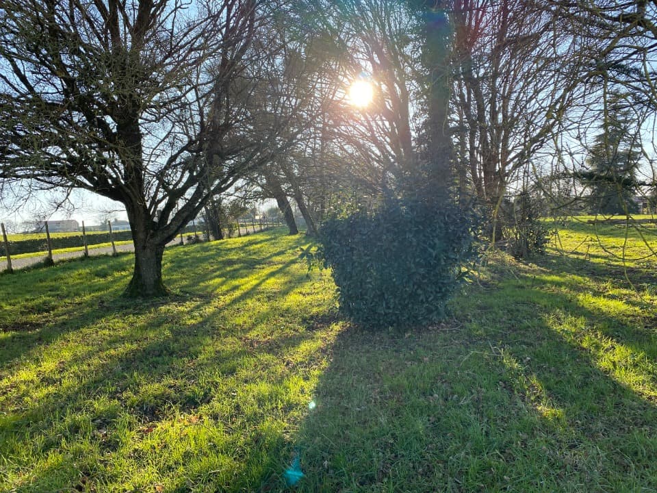 Terrain - Terrain à bâtir Plassay (17250) à Plassay (17), prix 39 000 €