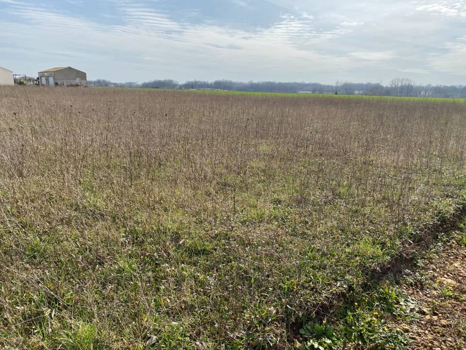 Terrain - Terrain à bâtir Archingeay (17380) à Archingeay (17), prix 44 725 €